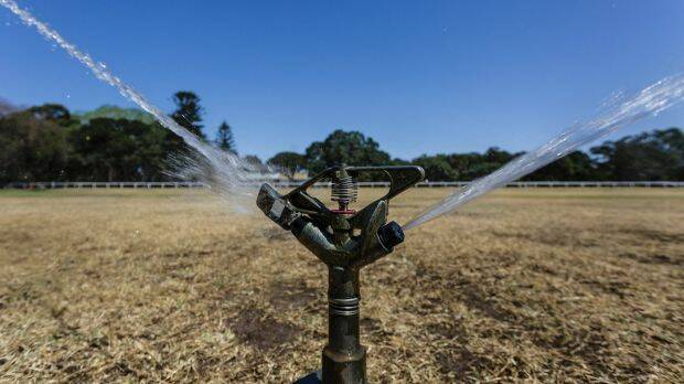 A sprinkler working overtime at Sydney's parched Centennial Park on Monday. Photo: Brook Mitchell