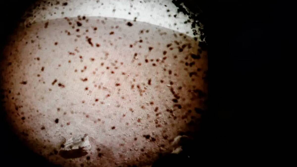 A image transmitted from Mars by the InSight lander is seen on a computer screen at NASA's Jet Propulsion Laboratory. Photo: NASA