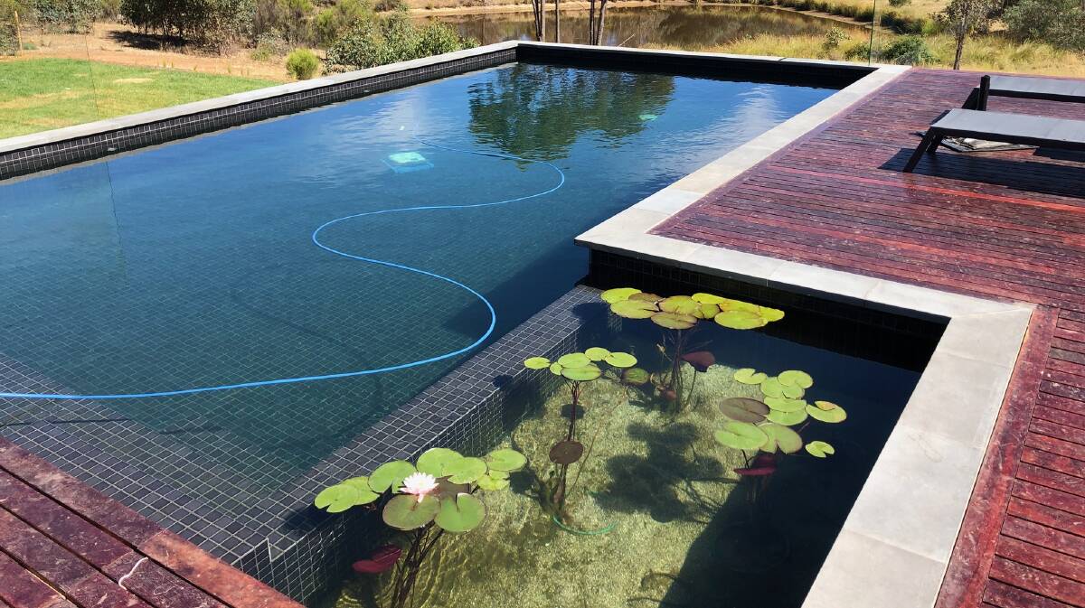 Clean and clear: Natural pools feature a “regeneration zone” next to the pool that contains gravel beds with plants that help clean the water.