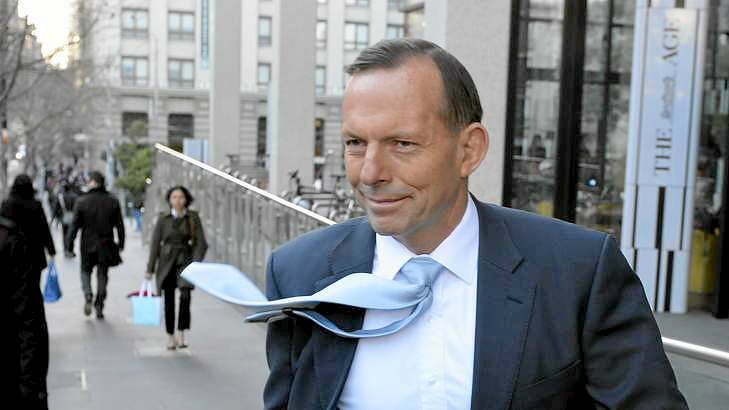 Spruiker: Tony Abbott has no interest in an election. Photo: Justin McManus