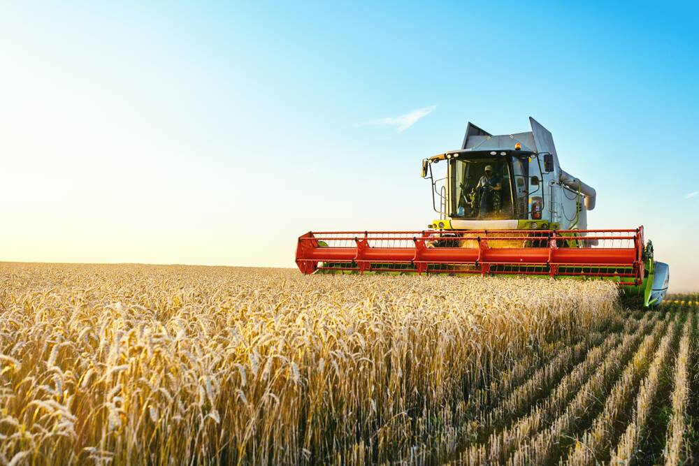 Good weather conditions and strong demand for agricultural exports have seen rural property values surge. Photo: Shutterstock