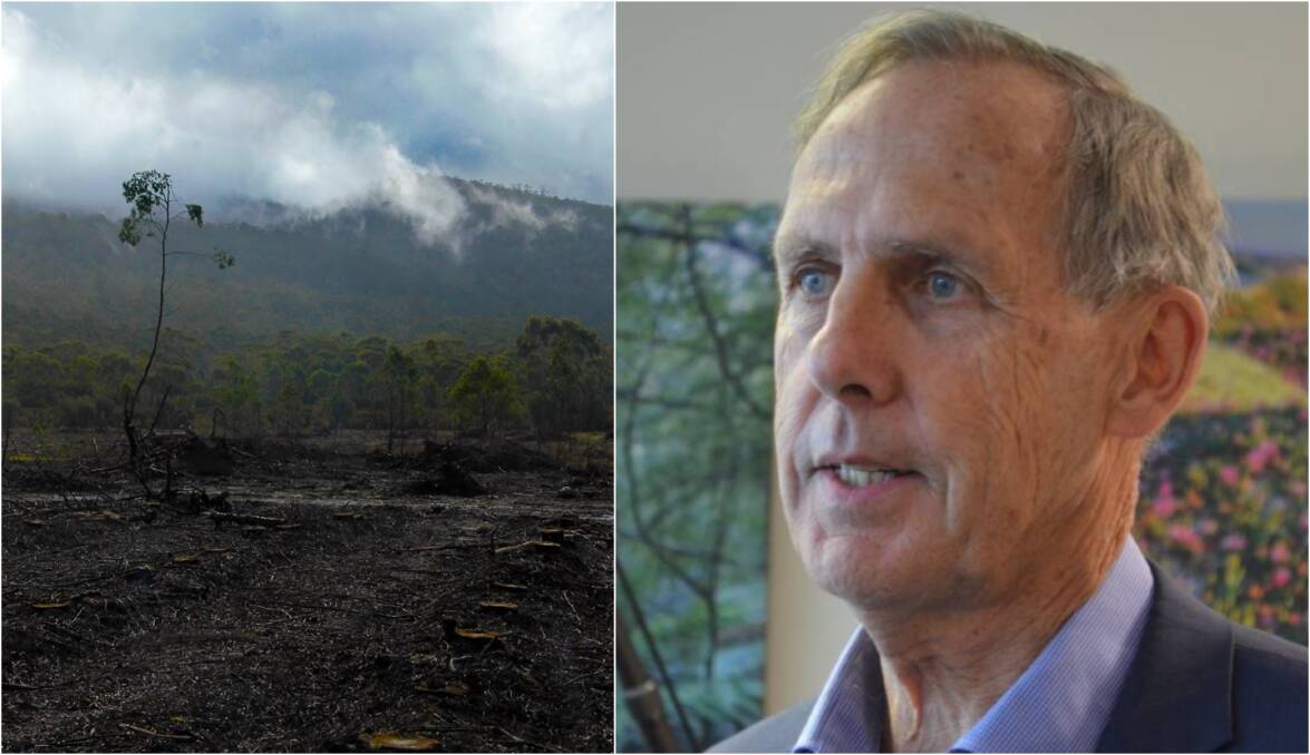 There are two main arguments in the Bob Brown Foundation's case against the validity of Tasmania's regional forest agreement.