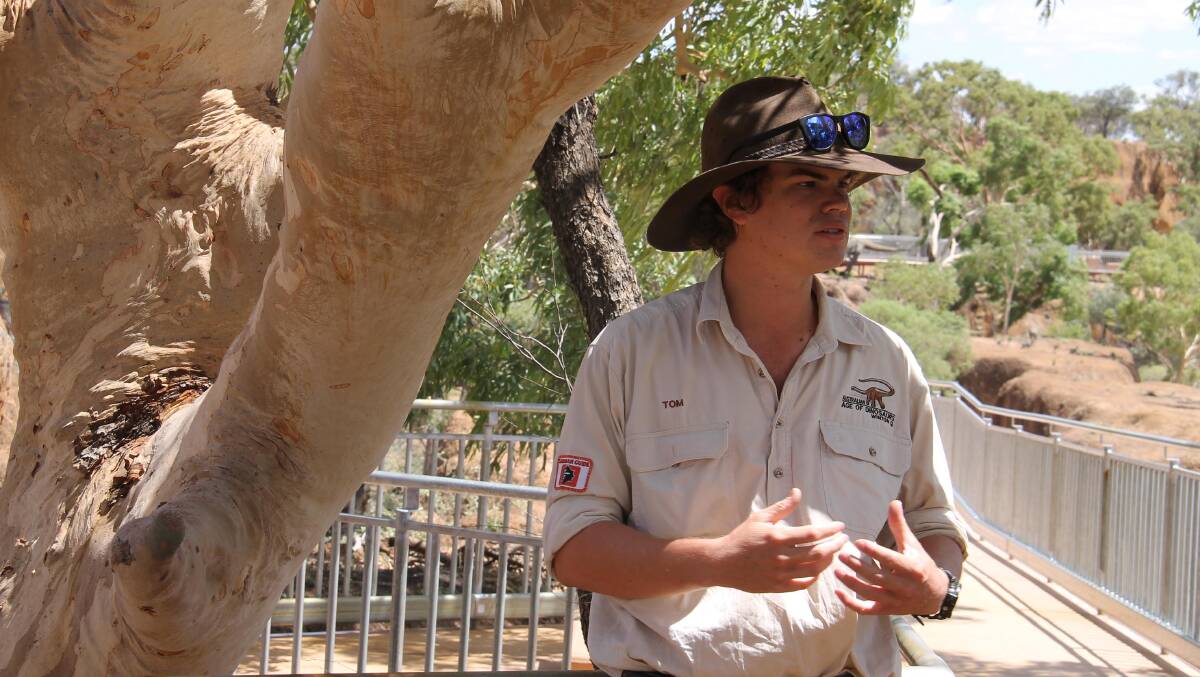 Tom Beeston … a typical wide-brimmed-hatted Australian bush lad guides us through Dinosaur Canyon.