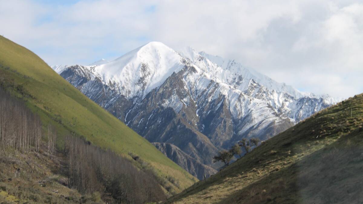 The terrain around Queenstown … snowy mountains and green hills. 