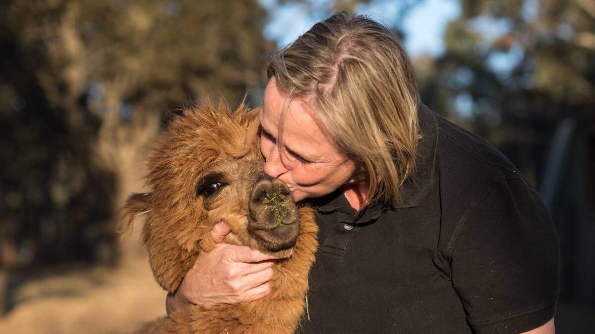 Sanctuary stays heaven for animal-loving travellers