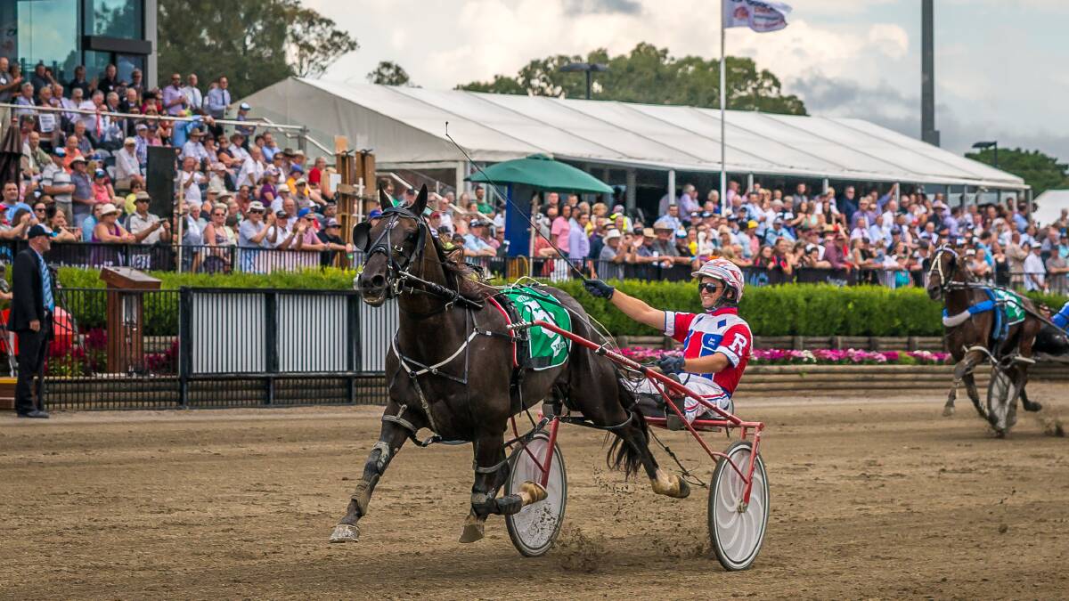 World class harness racing event comes to the region