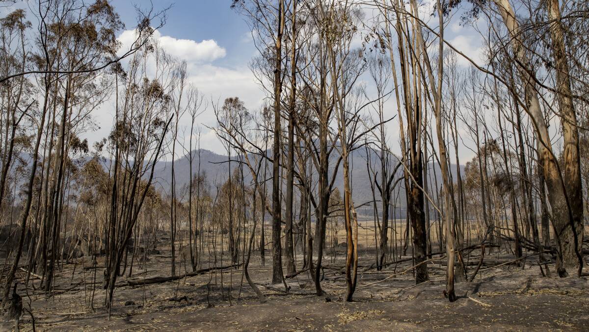 The latest IPCC report warns about the risk of more frequent extreme weather events - including bushfires - if global warming isn't contained. Picture: Sitthixay Ditthavong