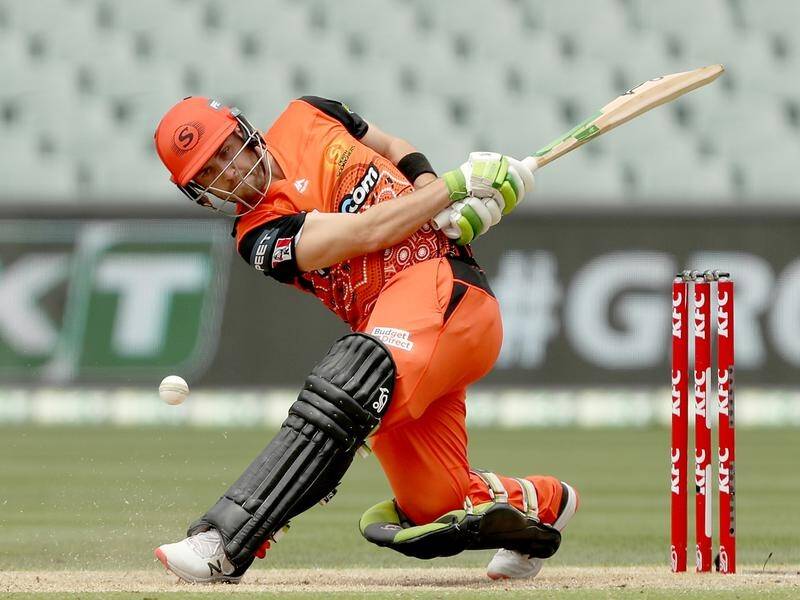 Perth Scorchers' exciting Josh Inglis is ready to step up for Australia in the T20 World Cup.