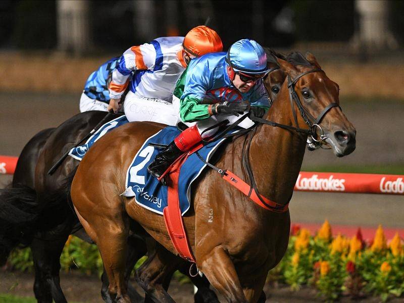 Group One sprinter Scales Of Justice has died during a routine exercise session.