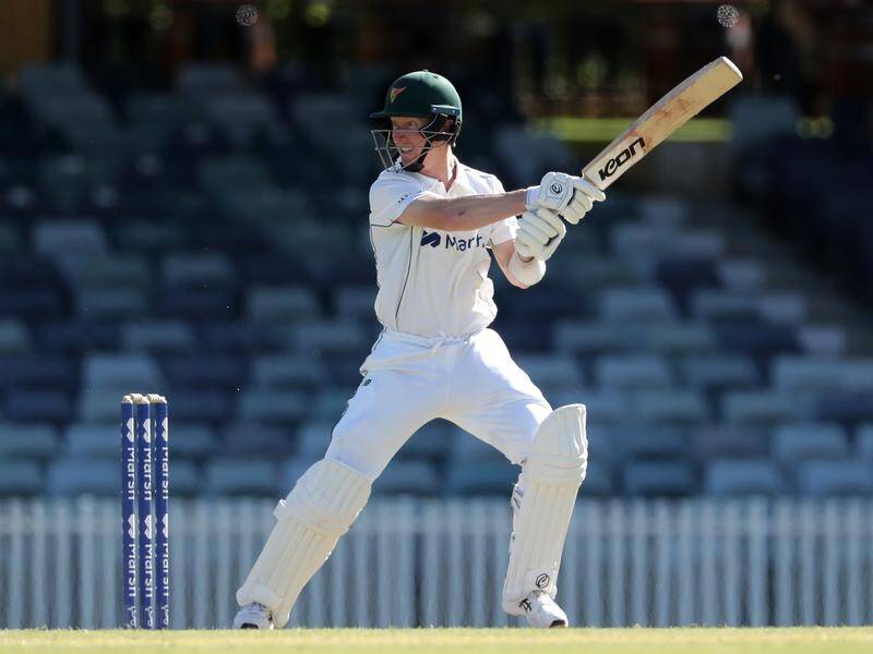 Tasmania skipper Jordan Silk made an undefeated 83 to steer the Tigers to a Shield win over WA.