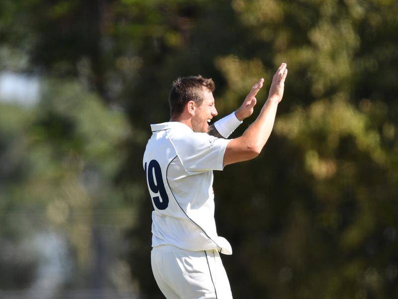 James Pattinson claimed two scalps as Victoria chase a Sheffield Shield win over South Australia.