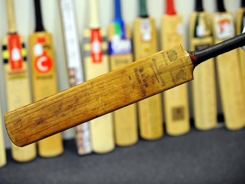 A UK university study has flagged the idea of using bamboo to replace willow to make cricket bats.