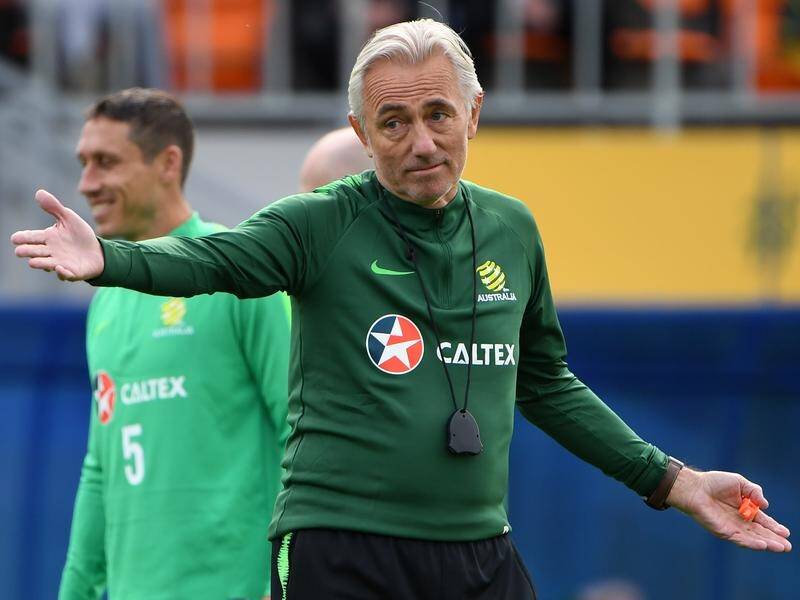 The Socceroos are the third national team to be coached by Bert van Marwijk.