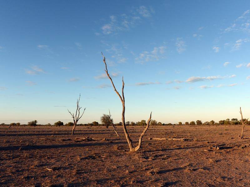 NSW farmers are hurting with the bureau saying it's been the driest January to July since 1965.