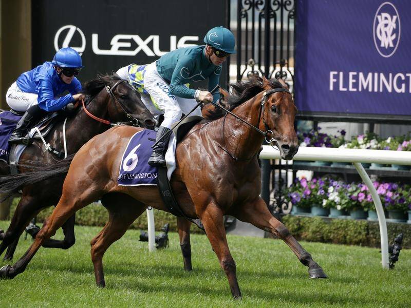 Trainer John Sadler hopes to get another straight track win with Superhard at Flemington.