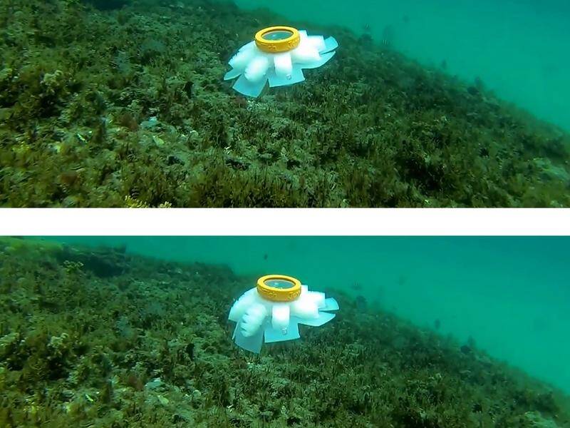 Robot jellyfish could be used to monitor fragile marine environments such as coral reefs.