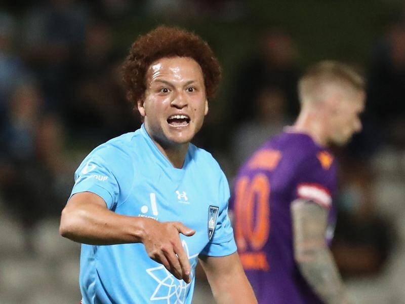 Sydney FC are still out to sign new recruits in January after nsapping up Mustafa Amini.