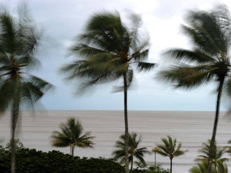 Cyclone Niran was packing 95km/h winds and 130km/h gusts on Tuesday afternoon.