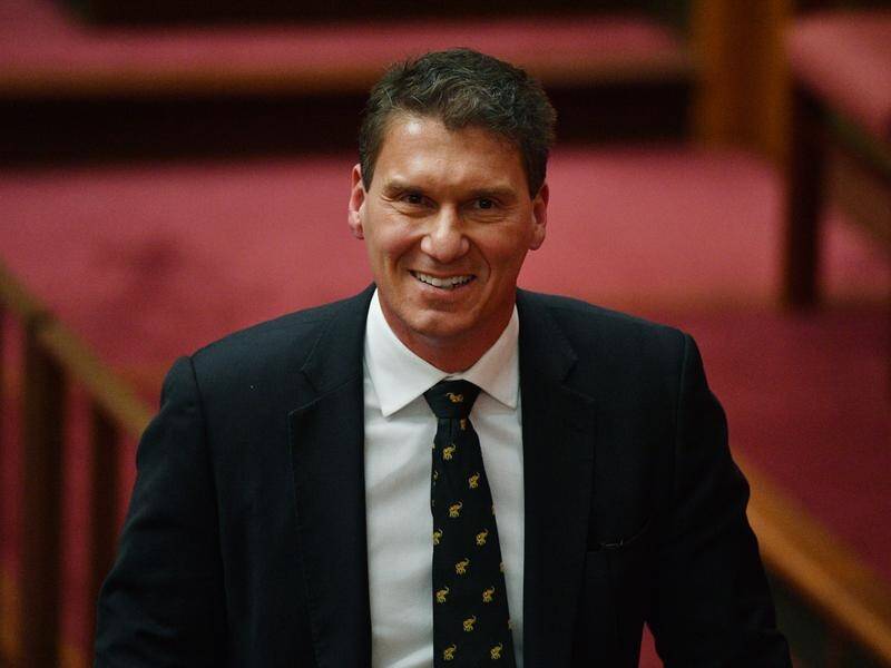 Cory Bernardi has been thinking about how he can best help the government succeed.