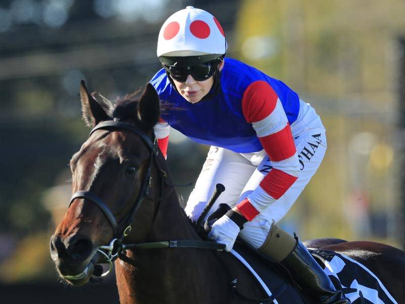 In-form sprinter Spaceboy is likely to be given a chance to prove his versatility at Randwick.