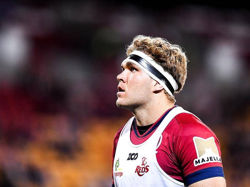 Reds forward Angus Scott-Young will face a Super Rugby judicial panel on Monday.