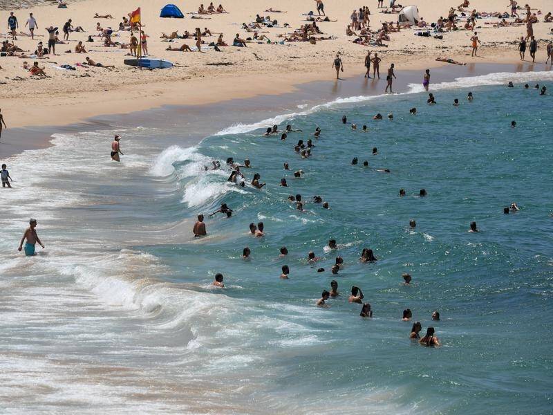 Australia's 2019/20 summer could be among the three warmest on record, the weather bureau says.