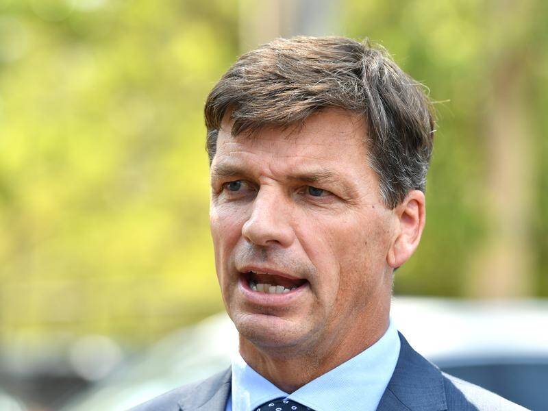 Energy Minister Angus Taylor is combing through submissions for underwriting of power projects