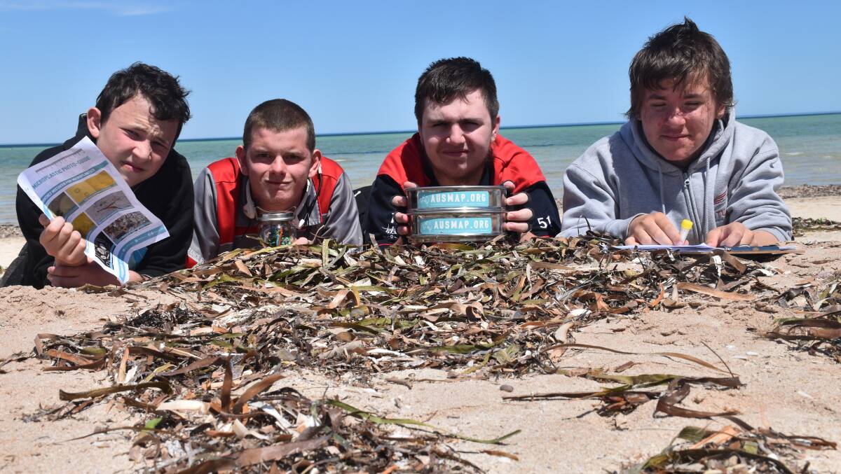 QUEST: Stuart High School students James Tudhope, left, Hayden Matthews, Blair Prince and Aiden Klose sifted the beach sand to find micro-plastics in a sampling trial program.